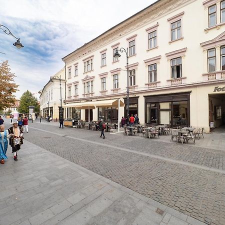 City Spirit Studio - Piata Mare & Balcescu View Sibiu Bagian luar foto